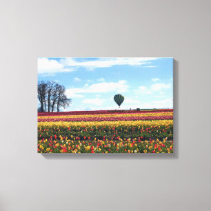 Wooden Shoe Tulip Farm, Woodburn, Oregon Canvas Print