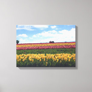 Wooden Shoe Tulip Farm, Woodburn, Oregon Canvas Print