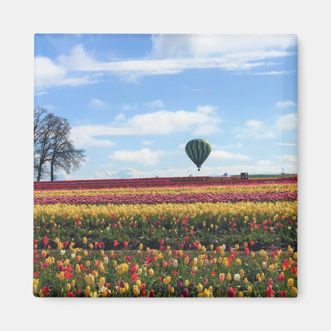 Wooden Shoe Tulip Farm, Woodburn, Oregon Magnet (Front)