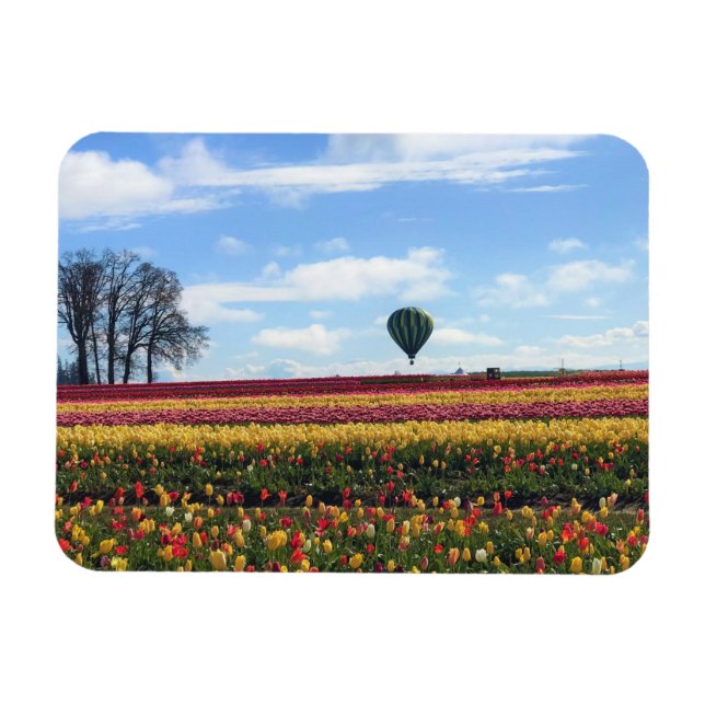 Wooden Shoe Tulip Farm, Woodburn, Oregon Magnet (Horizontal)
