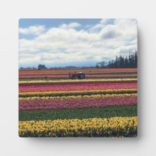 Wooden Shoe Tulip Farm, Woodburn, Oregon Plaque