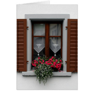 wooden shutter flowers