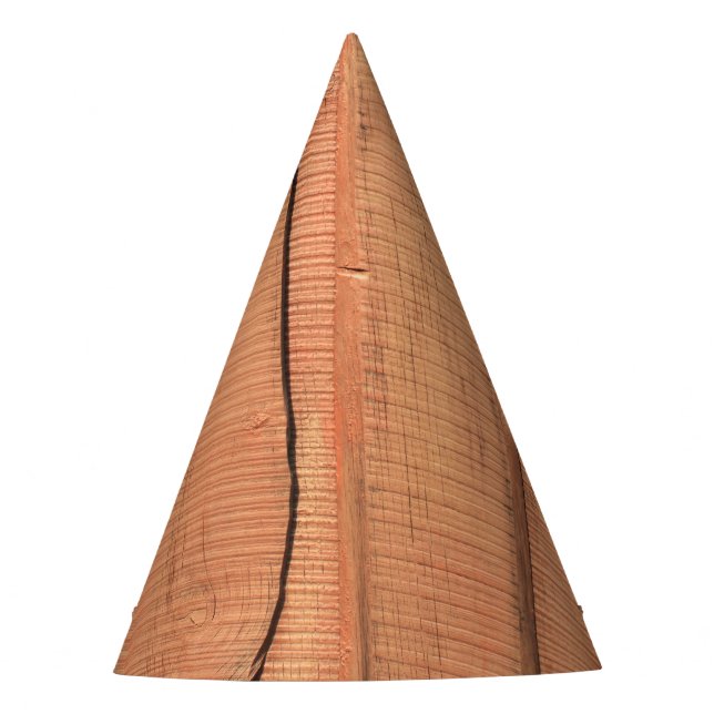 Wooden texture party hat (Front)