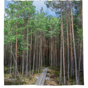 Wooden trail in pine forest