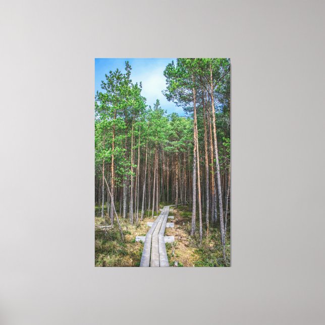 Wooden trail in pine forest canvas print (Front)