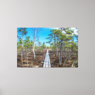 Wooden trail over swamp canvas print