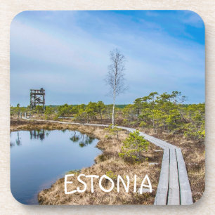 Wooden trail over swamp in Estonia Coaster