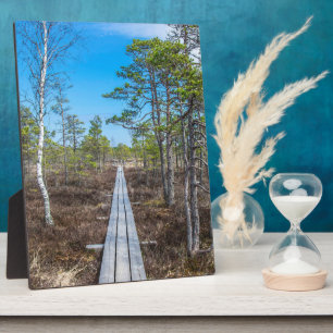 Wooden trail over swamp plaque