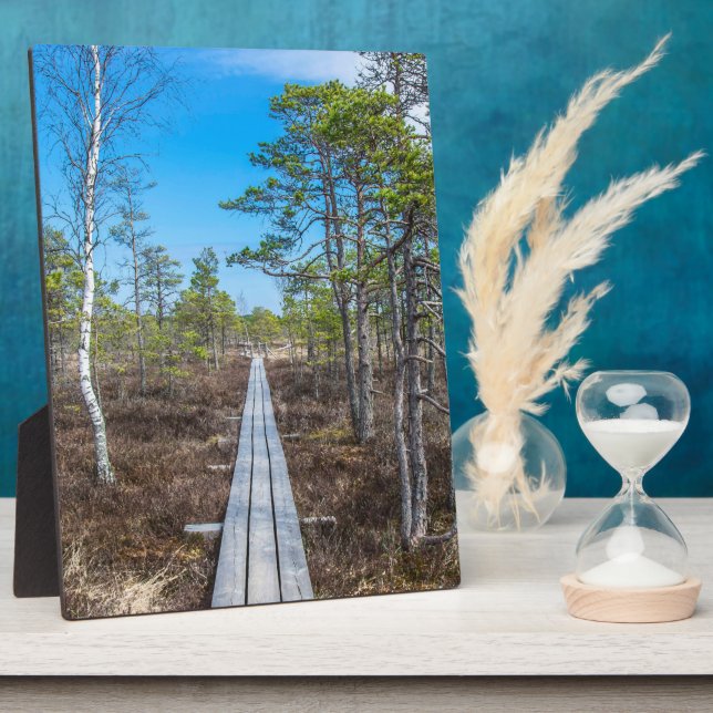 Wooden trail over swamp plaque (Side)