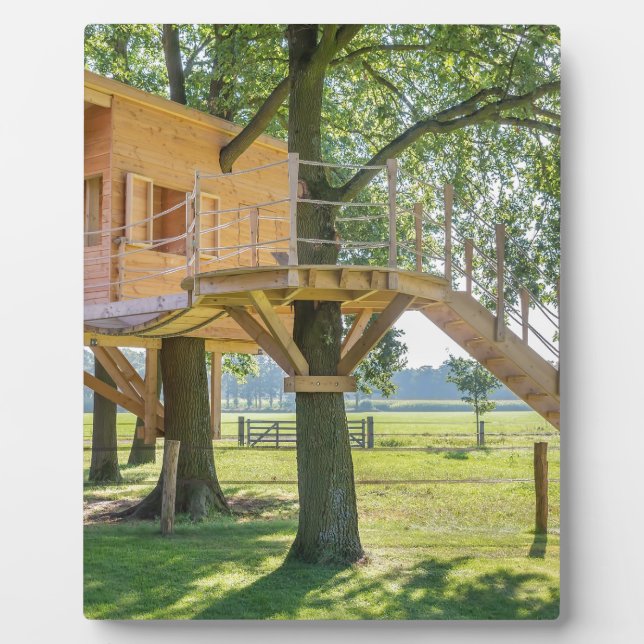 Wooden tree house in oak tree with grass plaque (Front)