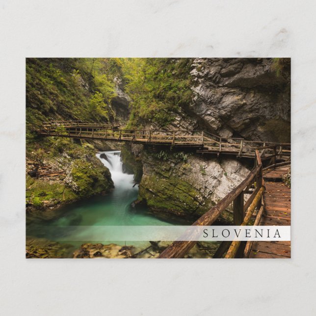 Wooden walkway through Vintgar Gorge canyon Postcard (Front)