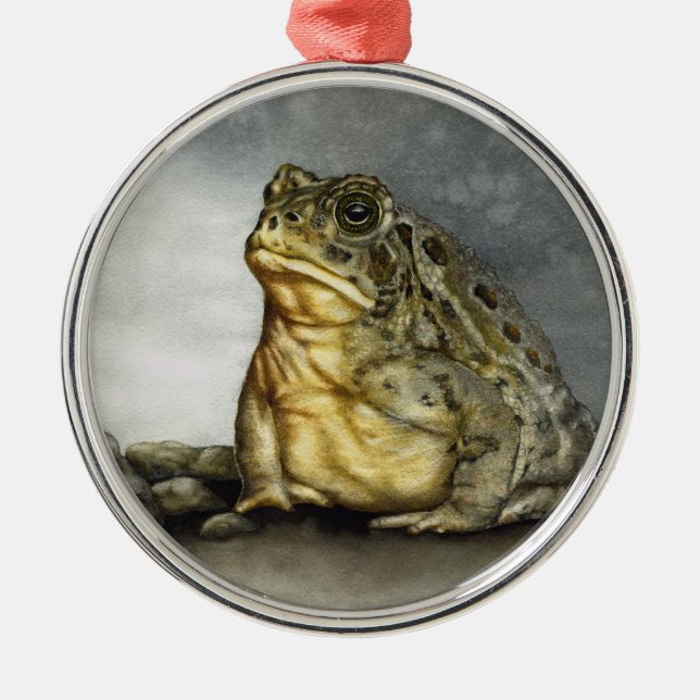 Woodhouse Toad ornament (Front)