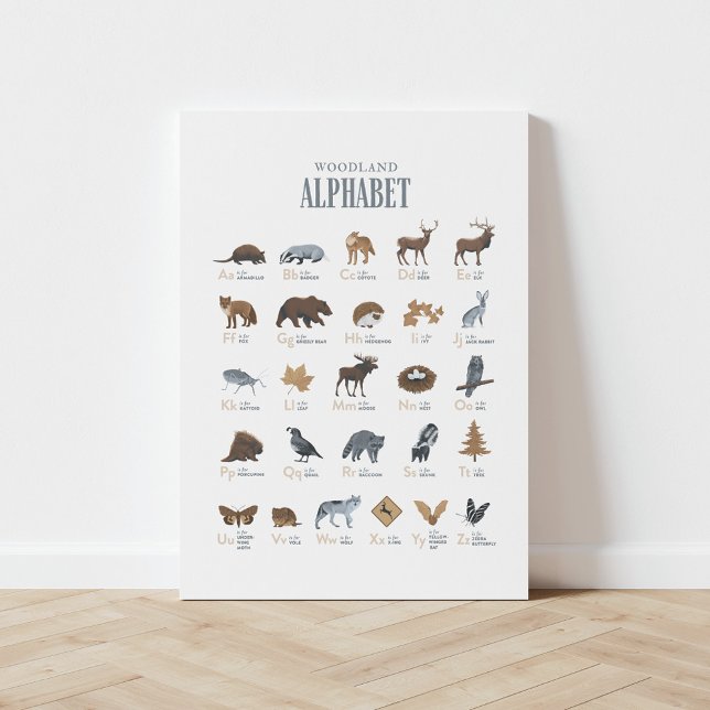 Woodland Alphabet Animal ABC Canvas Print (Creator Uploaded)