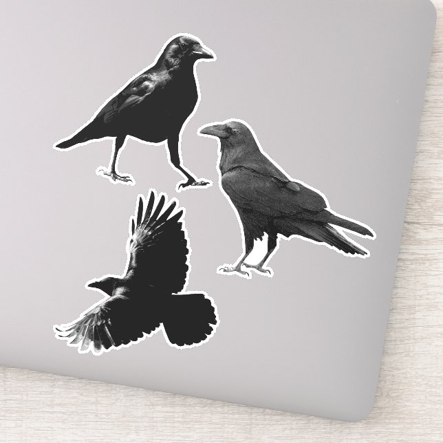 Woodland Animal 3 Black Raven Birds Flying Crows (Detail)