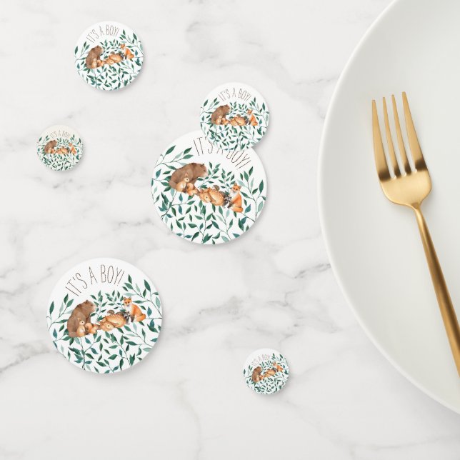 Woodland Animal Friends It's A Boy Confetti (Group)