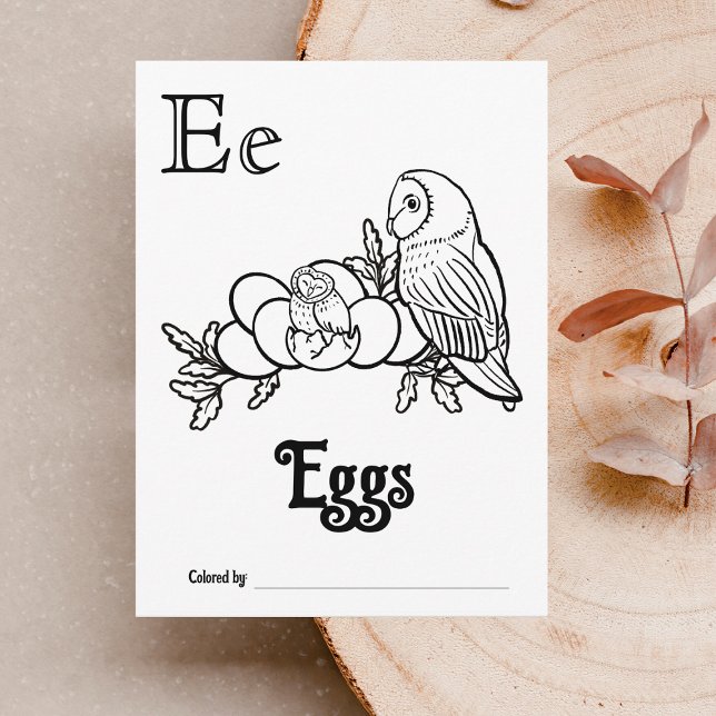 Woodland Animals ABC Colouring Baby Shower Activit Postcard (Letter E - Color Your Own Baby's First ABC's Keepsake Cards)