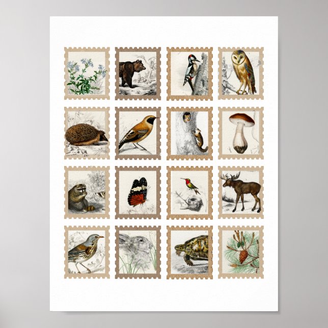 Woodland Animals Moose Birds Junk Journal Accents  Poster (Front)