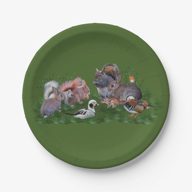 Woodland Animals Paper Plate (Front)