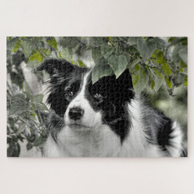 Woodland Border Collie 1014 Piece Jigsaw Puzzle (Horizontal)