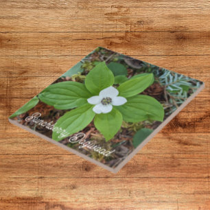 Woodland Bunchberry Dogwood Floral Tile
