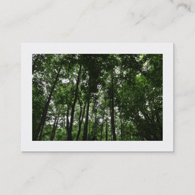 Woodland Canopy 02 (Bordered) Business Card (Front)