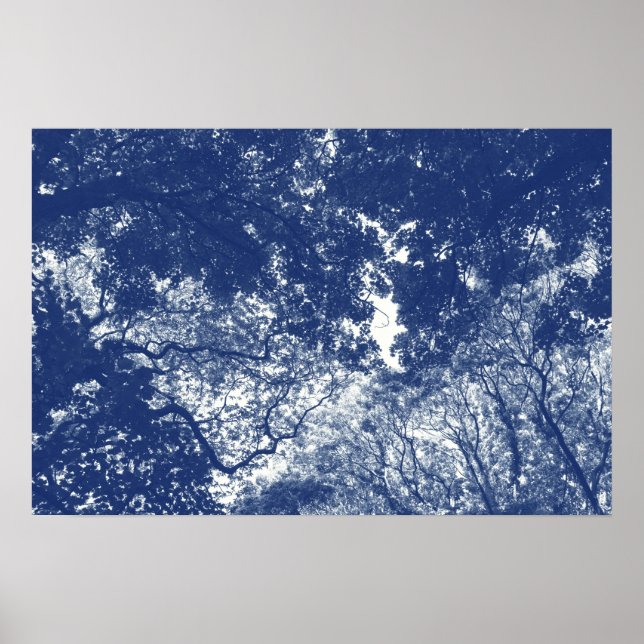 Woodland Canopy 02 - Cyanotype Effect Poster (Front)