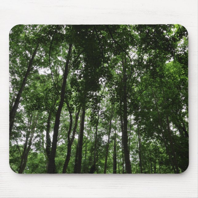 Woodland Canopy 02 Mouse Pad (Front)