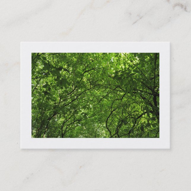 Woodland Canopy (Bordered) Business Card (Front)