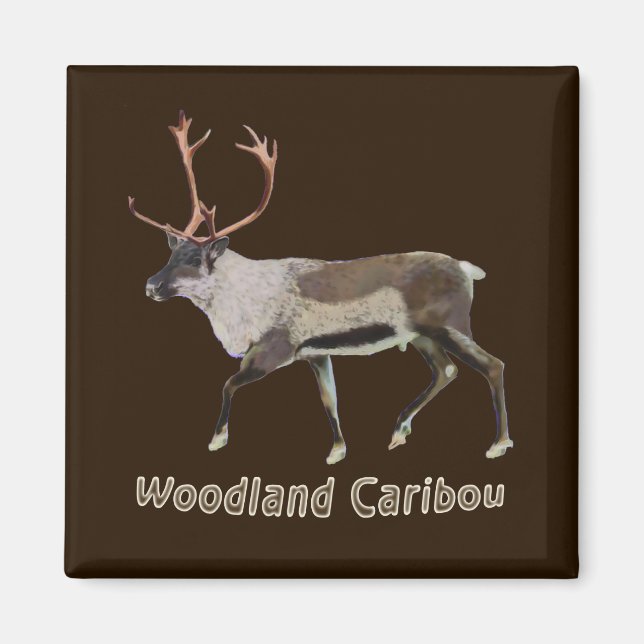 Woodland Caribou Magnet (Front)