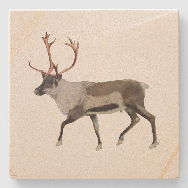 Woodland Caribou Stone Coaster (Front)