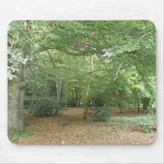 Woodland Clearing Mousepad