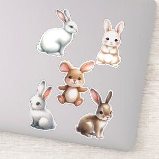 Woodland Creatures Forest Animals