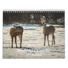 Woodland Creatures Nature