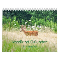 Woodland Creatures Nature