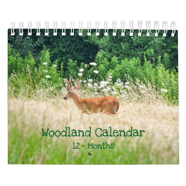 Woodland Creatures Nature Small Calendar (Cover)