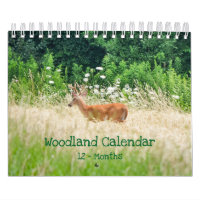 Woodland Creatures Nature Small Calendar