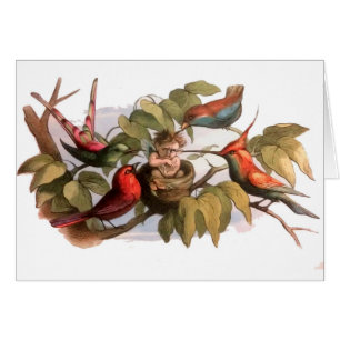 Woodland Elf in Nest: Antique Bird Sprite Fairy