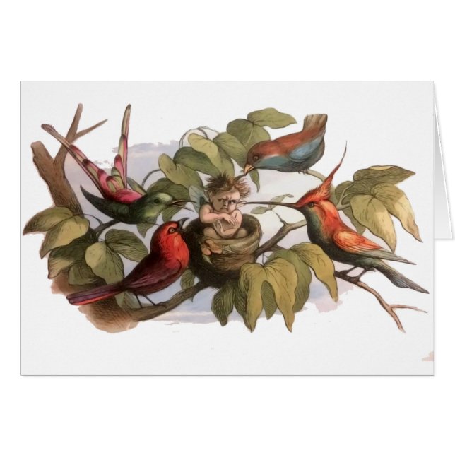 Woodland Elf in Nest: Antique Bird Sprite Fairy (Front Horizontal)