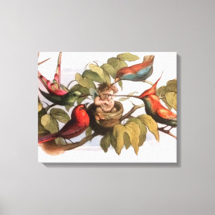 Woodland Elf in Nest: Antique Bird Sprite Fairy Canvas Print
