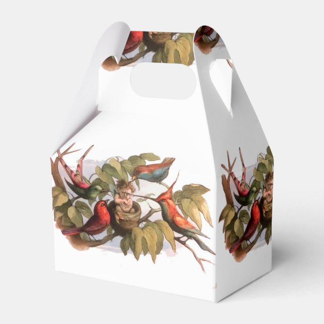 Woodland Elf in Nest: Antique Bird Sprite Fairy Favor Box (Front Side)