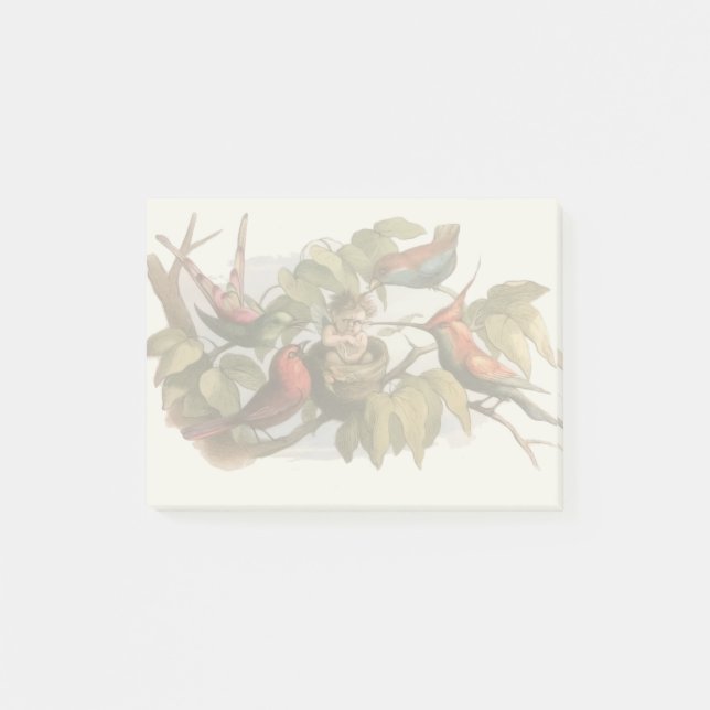 Woodland Elf in Nest: Antique Bird Sprite Fairy Post-it Notes (Front)
