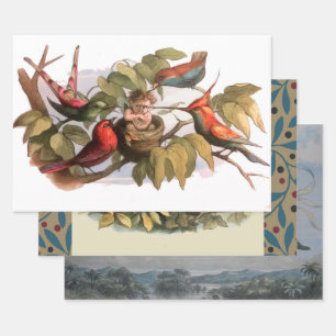 Woodland Elf in Nest: Antique Bird Sprite Fairy Wrapping Paper Sheet