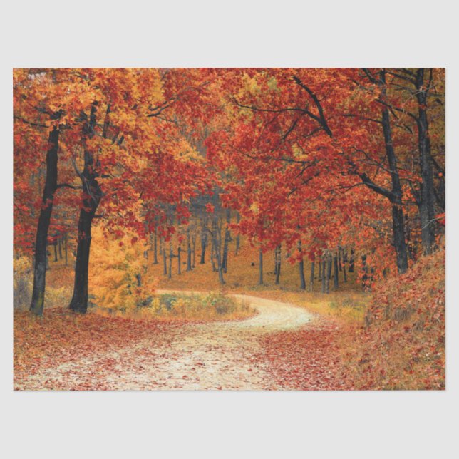 woodland fall trail tissue paper (Front)