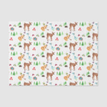 Woodland fawn and friends