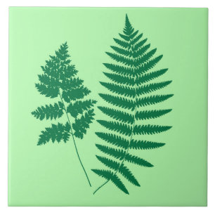 Woodland Fern, Emerald and Light Green  Tile