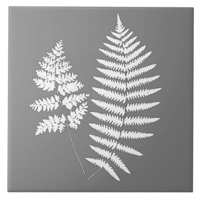 Woodland Fern, Grey / Grey and White   Tile (Front)