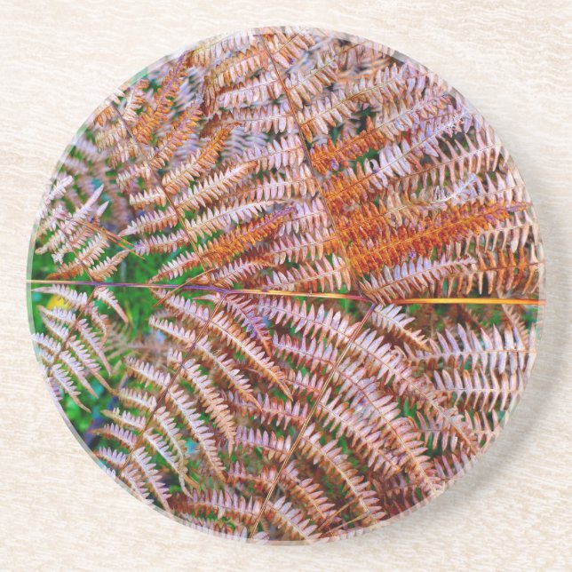 Woodland Ferns Coaster (Front)