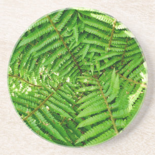 Woodland Ferns Coaster