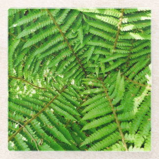 Woodland Ferns Glass Coaster