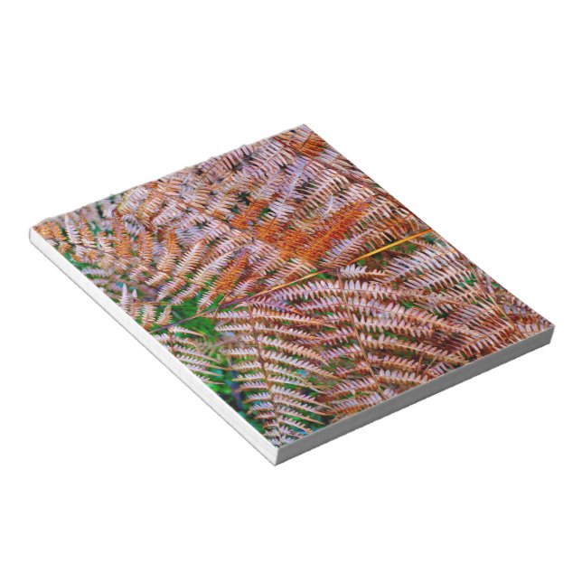 Woodland Ferns Notepad (Angled)